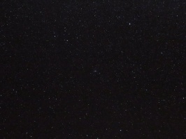 81  IMG 3044